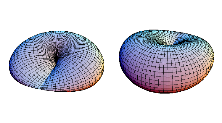 Real Projective Plane