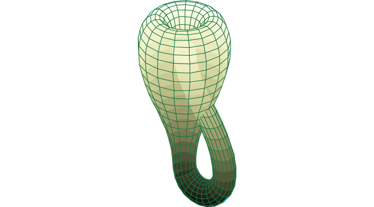 Klein Bottle